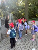 IMG_2043.jpg