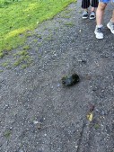 IMG_2162.jpg